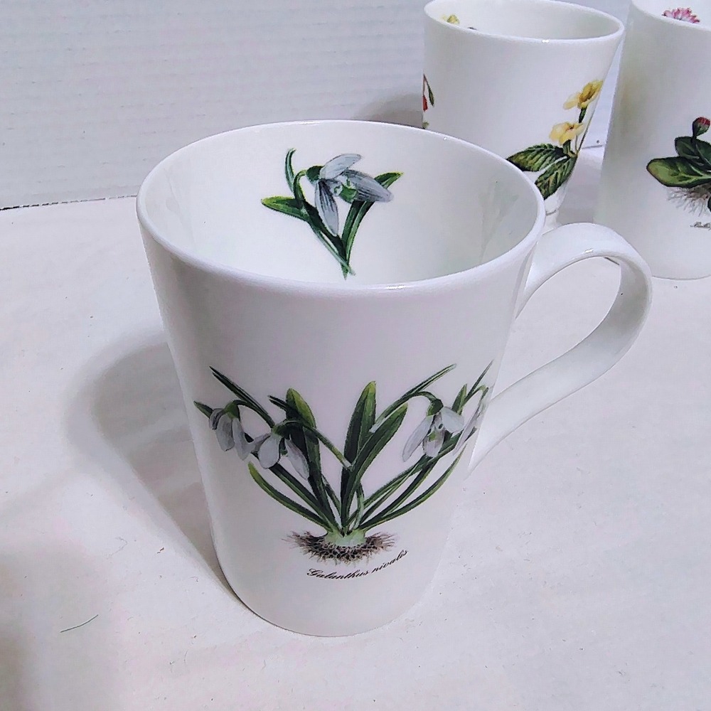 Royal Victorian Staffordshire England Botanical Flower Mugs Fine Bone China - Picture 7 of 13